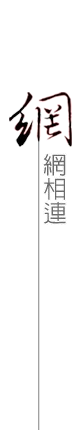 網網相連